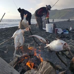 Meet your Posher, Leavy